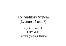 Auditory Neuroscience - University of Sunderland