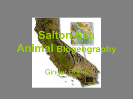 Salton Sea Biogeography - University of West Alabama