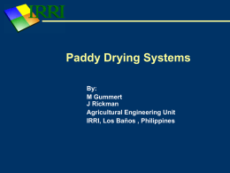 Paddy Drying Systems Overview - Home