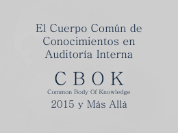 CBOK 2015 The IIA’s 2015 Global Internal Audit Study