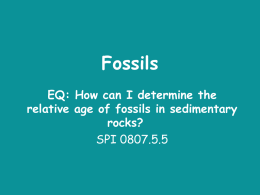 Fossils - RC Schools