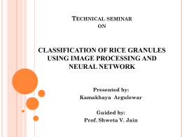 Technical seminar on Analysis of rice granules using Image