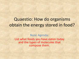 Quaestio: How do organisms obtain the energy stored in food?