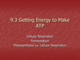 9.3 Getting Energy to Make ATP