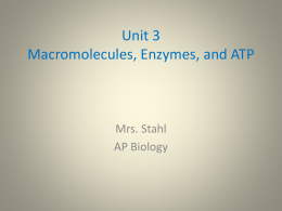 Unit 3 Macromolecules, Enzymes, and ATP