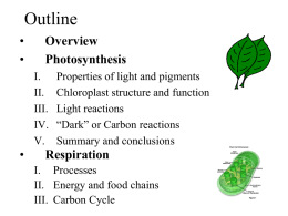 Photosynthesis and Cellular Respiration