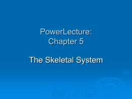 PowerLecture: Chapter 5 - Dutchess Community College