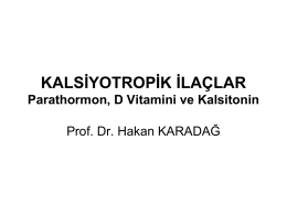 Slayt 1 - Prof. Dr. Hakan Karadağ