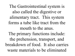 The Gastrointestinal system is also called the digestive