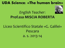 UDA: Human Brain - Liceo Scientifico Galileo Galilei Pescara