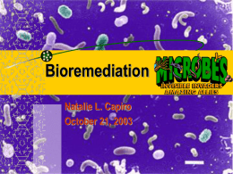 Bioremediation - Home