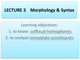 LECTURE 3 Morphology & Syntax