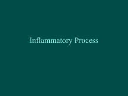 Inflammatory Process