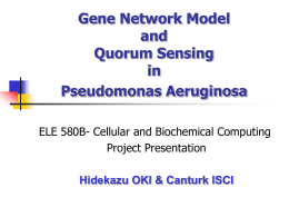 Gene Network Model and Quorum Sensing in Pseudomonas