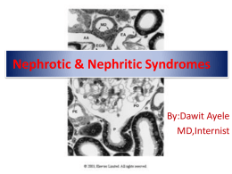 Nephrotic Syndrome - Selam Higher Clinic