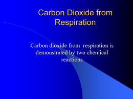 Carbon Dioxide from Respiration