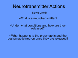Neurotransmitter Actions