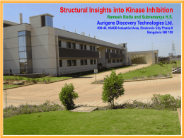 Structural Insights into Kinase Inhibition Ramesh Sistla