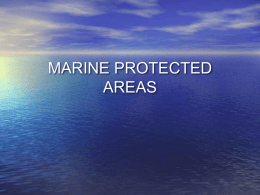 MARINE PROTECTED AREAS - California MPA Educational