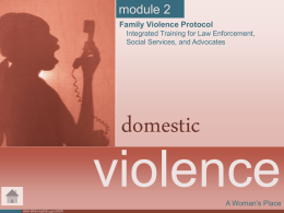 Module 2 Domestic Violence ppt