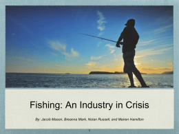 Fishing: An Industry in Crisis