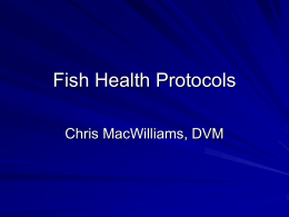 Fish Health Protocols - Pacific Streamkeepers Federation