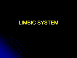 LIMBIC SYSTEM - University of Kansas Medical Center