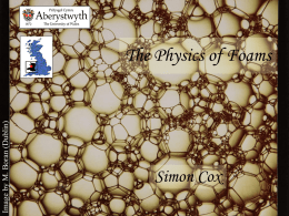 The Physics of Foams - University of Groningen
