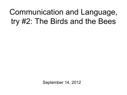 3-Communication + Language, part 2