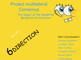 Proiect multilateral Comenius