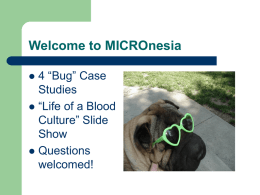 Micronesia Case Study #2