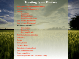 Lyme Rashes - Hope Wellness Center