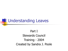 Understanding Leaves - United Public Employees Inc