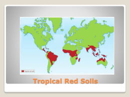 Tropical Red Soils - Geography WebSite of Beech Hill