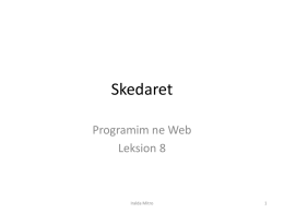 Programim ne Web