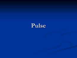 Pulse - シーサー株式会社