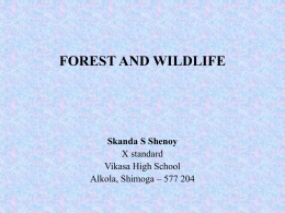 Wild life : Introduction
