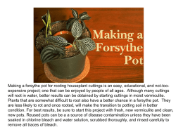 Making a Forsythe Pot - University of Minnesota
