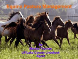 Equine Pasture Management - Lake County Extension Office