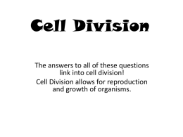 Cell Division - Miss Hanson's Biology Resources