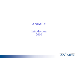 Animex Brand Portfolio - Hess Business Consulting