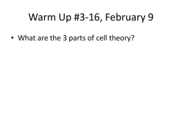 Warm Up #3-16, February 9 - Colorado Springs School