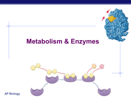 Metabolism & Enzymes - T.R. Robinson High School