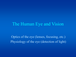 The Human Eye and Vision