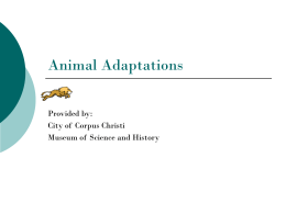 Animal Adaptations - IHMC Public Cmaps (3)