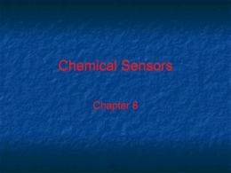 Chemical Sensors - University of Akron