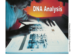 DNA Fingerprinting - Biology Resources