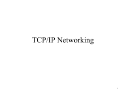 TCP/IP Networking - Lamar University
