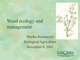 Weed ecology and management - The Evergreen State College