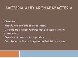 Bacteria and Archaeabacteria